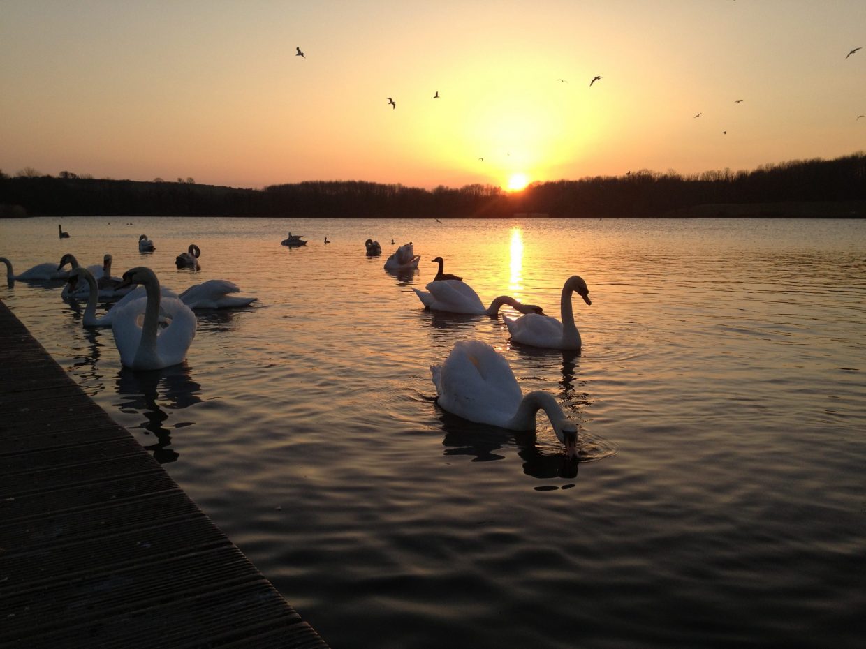 Cosmeston Lake, Penarth