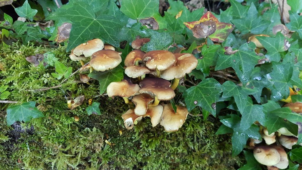 20180929_092221
