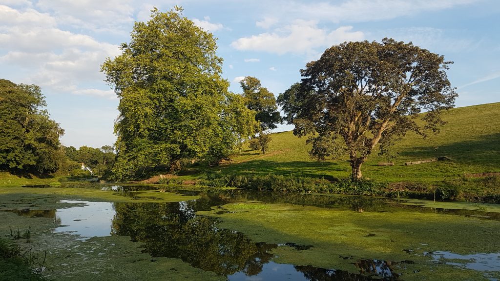 Michaelston-Le-Pit