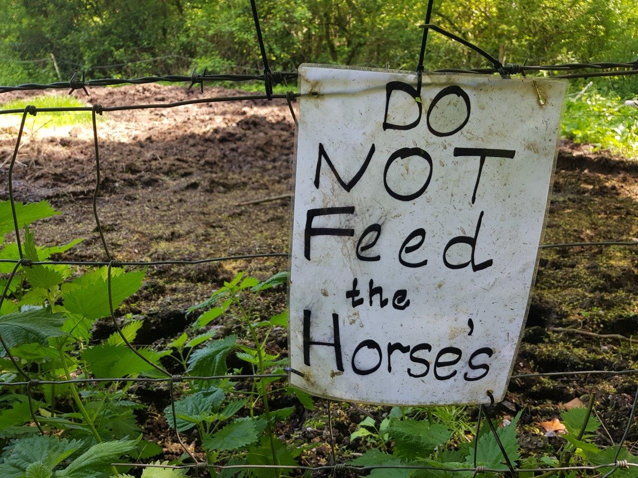 Vale Life Don't Feed Horses