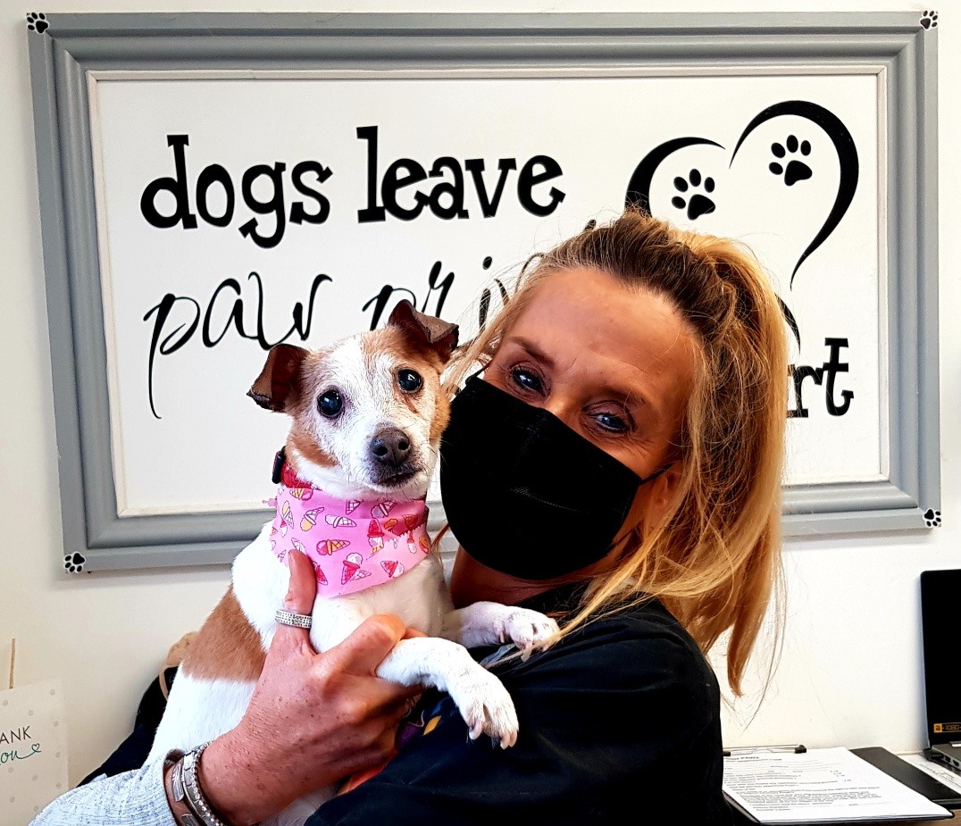 Posh Pawz Rhoose: Tried & Trusted