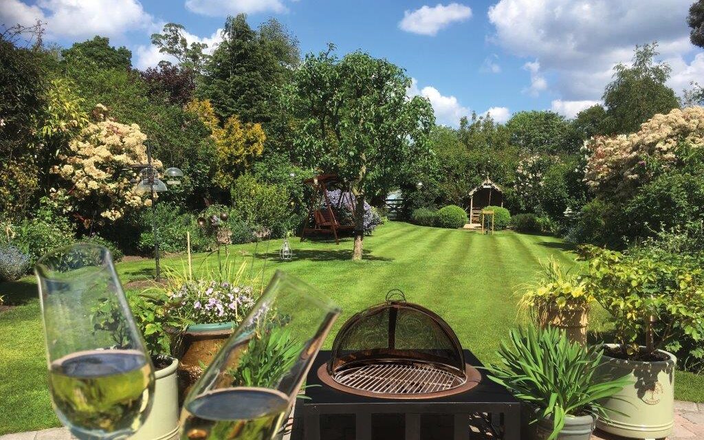 The Greener Choice For A Lawn You’ll Love