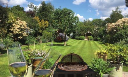 The Greener Choice For A Lawn You’ll Love