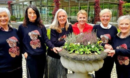 Vale Life: 100 Pages Of Vale Of Glamorgan Gems