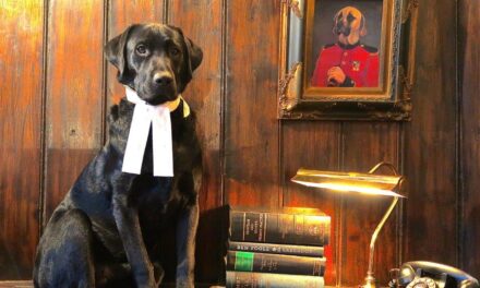 The Lab Report: Arthur & The Black Abbot